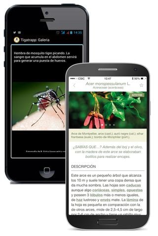 Apps del CSIC