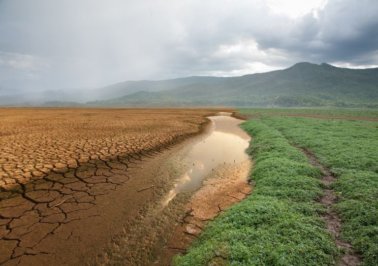 Cambio climático Cambio climático