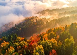 Après Benjamin, les températures vont-elles s'envoler et devenir printanières ? 