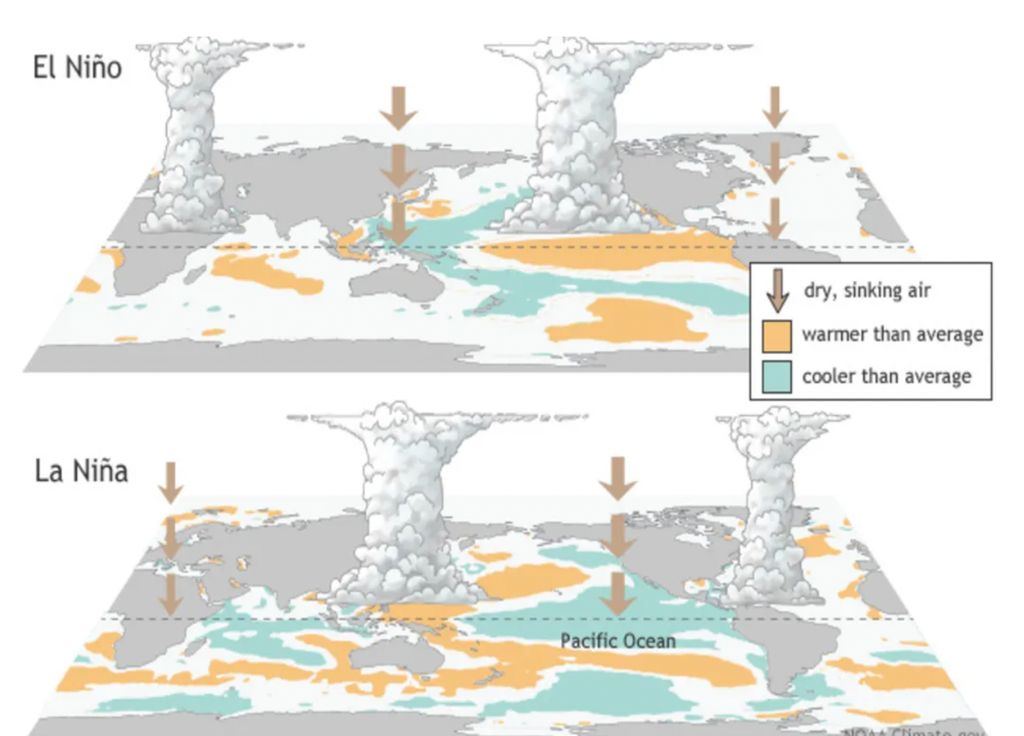 Les phases El Nino et El Nina. Source : www.climate.gov