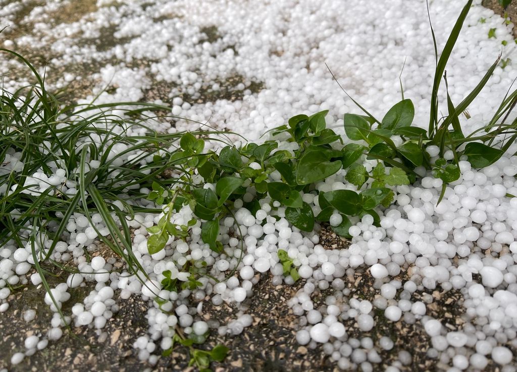 Giboulées mars grésil prétexte