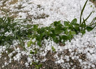 Après le soleil, retour de la pluie en France : mais où sont donc passées les célèbres 