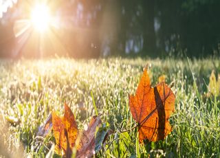 Après une pluie de records de chaleur, chute brutale des températures ! Quelles régions concernées ? 