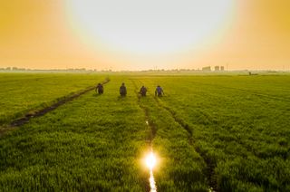 Aprieta la 'abrasadora': ¿en qué ciudades hará más calor?