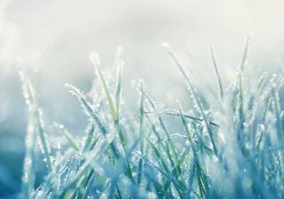 April 2021 broke records for frosts and sunshine