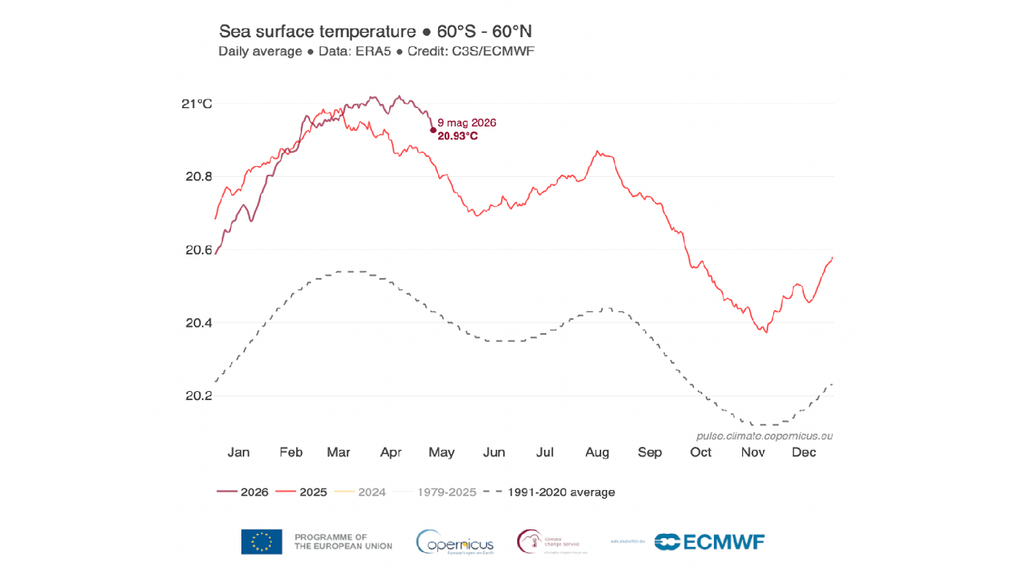 Il grafico mostra l'andamento della temperatura della superficie degli oceani nel 2026 (rosso scuro) rispetto a quella del 2025 (rosso chiaro) e al periodo di riferimento 1991-2020 (linea tratteggiata)