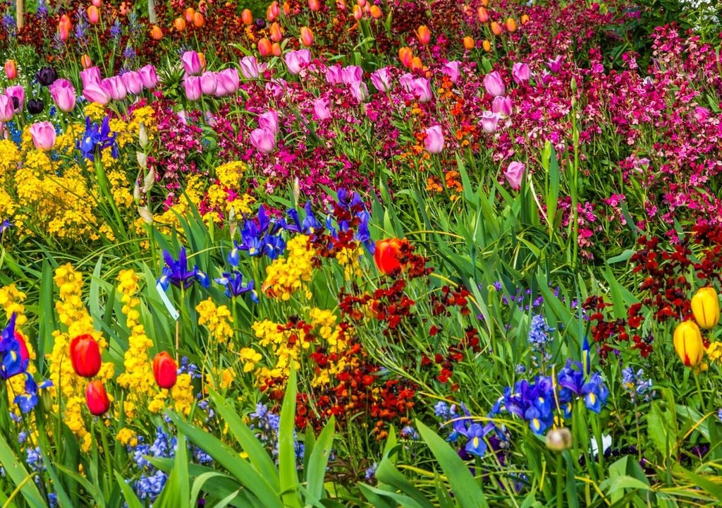 In primavera parchi, giardini e spazi verdi sembrano quadri impressionisti