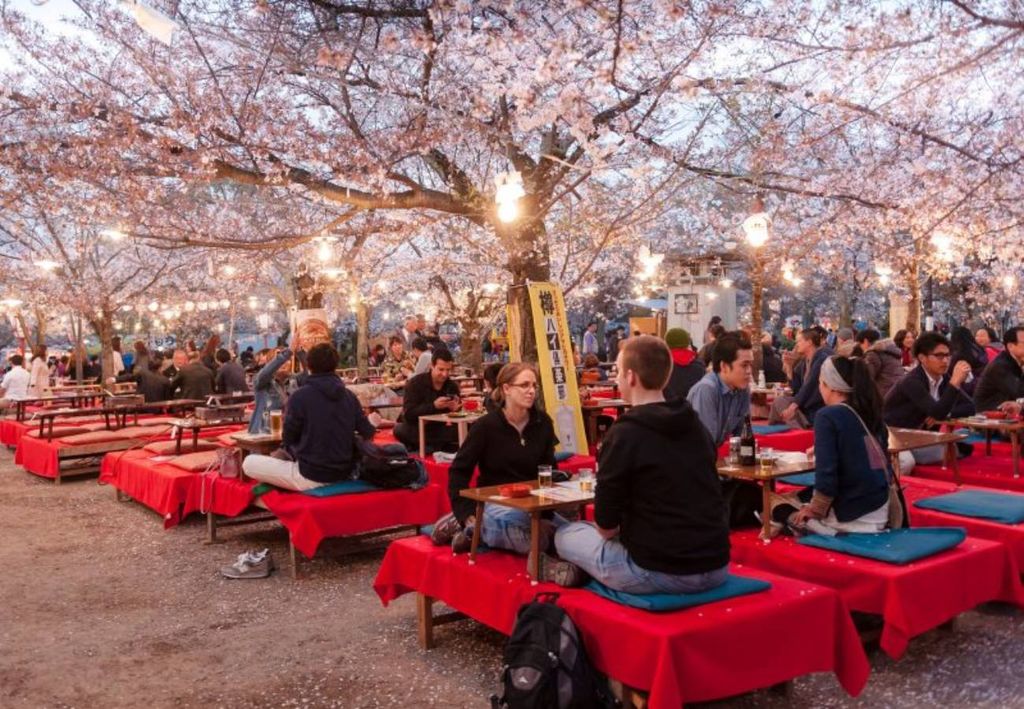 festival Hanami, cerejeiras, Japão festival Hanami, cerejeiras, Japão