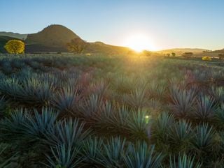 Aquí te presentamos cinco pueblos mágicos para que te enamores de Jalisco