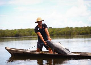 Aquicultura no Brasil cresce e emite menos carbono que a pecuária, mas desafios de sustentabilidade ainda persistem