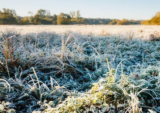 Ar frio chegou e avan&ccedil;a nas pr&oacute;ximas horas: temperaturas podem ficar pr&oacute;ximas dos 0&deg;C