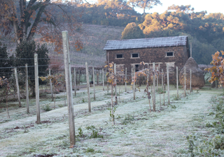 Ar frio intenso traz 'sabor' do inverno a partir deste fim de semana; confira a previs&atilde;o