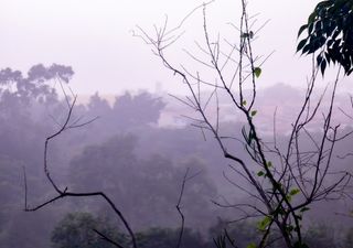 Ar frio traz sequência de madrugadas frias para o estados do RS, SC, PR, SP, MG e RJ