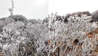 Ar polar abre a semana com temperaturas negativas em v&aacute;rios estados e chuva congelada; veja imagens