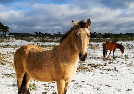 Ar polar avan&ccedil;a e derruba as temperaturas: veja quais regi&otilde;es t&ecirc;m chance de neve