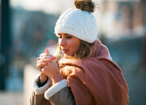 Ar polar baixa as temperaturas em SP e capital vai enfrentar dias de inverno &uacute;mido; confira
