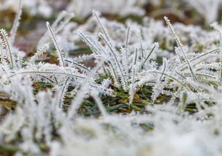 Ar polar chega ao Brasil nesta quinta-feira, 4, afetando 7 estados; saiba o que esperar