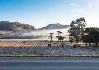 Ar polar já está no Brasil e continua nos próximos dias: INMET emite alerta de declínio de temperatura e geadas