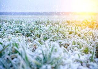 Ar polar pode trazer frio de inverno duradouro e abrangente em breve; saiba quando