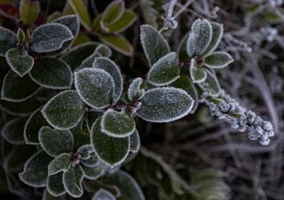 Ar polar se espalha pelo Brasil e deixa alerta de geadas em 726 cidades