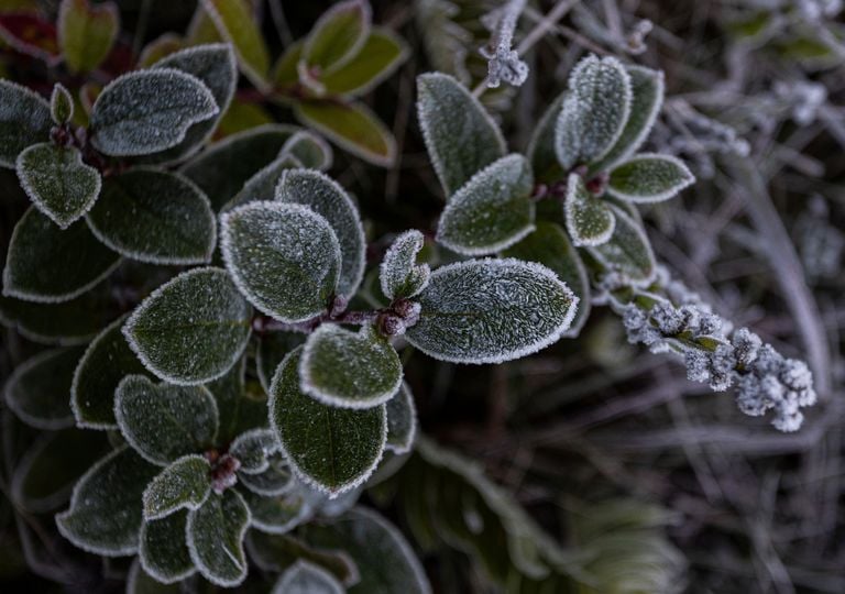 Ar polar se espalha pelo Brasil e deixa alerta de geadas em 726 cidades
