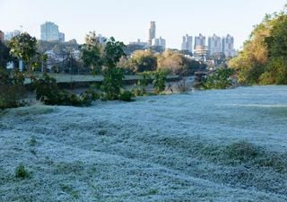 Ar polar segue derrubando temperaturas e traz alerta de geada para 3 estados do Centro-Sul; confira