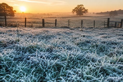 Ar polar traz frio intenso e amea&ccedil;a pastagens no Centro-Sul; veja previs&atilde;o
