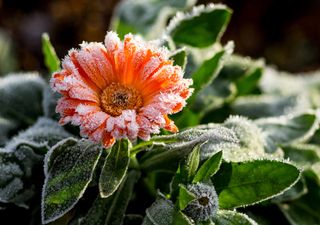 Ar polar traz potencial onda de frio em novembro! O que está acontecendo?