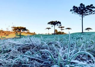 Ar polar traz temperaturas de at&eacute; 5&deg;C negativos e geada generalizada; veja a previs&atilde;o