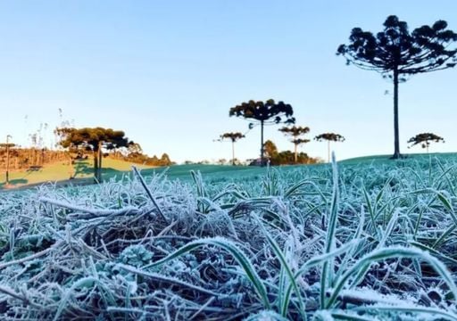Ar polar traz temperaturas de at&eacute; 5&deg;C negativos e geada generalizada; veja a previs&atilde;o
