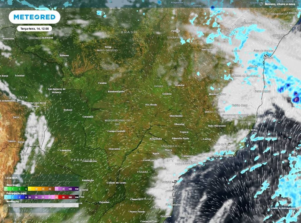 Previsão de precipitação (em mm) e nebulosidade (tons brancos/acinzentados) para terça-feira (14) às 12h, segundo o modelo europeu ECMWF.