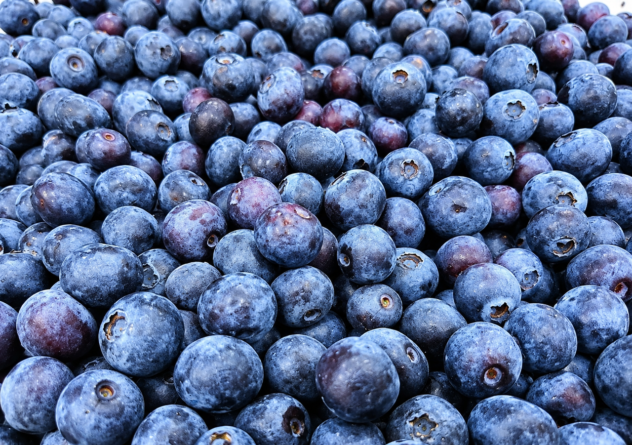 La producción nacional de arándanos es un rubro relevante de la fruticultura chilena, orientado tanto al mercado interno como a la exportación, donde la calidad y la condición de la fruta son claves para llegar a destino
