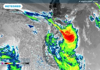 Árboles caídos, viviendas e infraestructura comprometida: el saldo del temporal de viento y lluvias en el sur de Chile