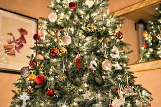 ¿Es bueno tener árboles de Navidad vivos en el interior de las casas durante días?