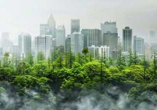  "Árboles líquidos" en Buenos Aires: una tecnología innovadora con el potencial de mejorar la calidad del aire 