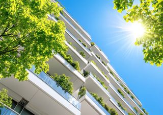 Árboles para jardines pequeños y macetas: 5 especies únicas para agregar al balcón 