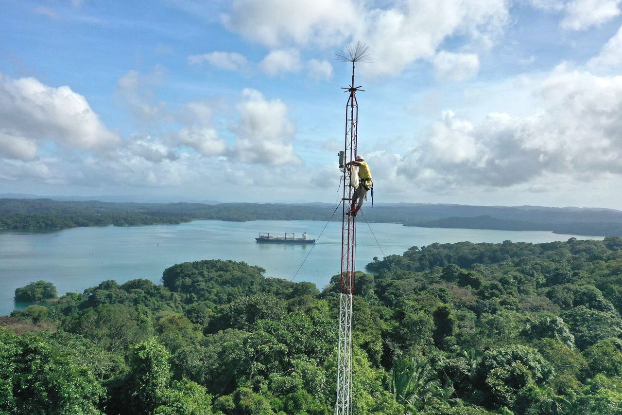 El técnico César Gutiérrez sube a una torre para detectar y localizar rayos en la zona de estudio. Tras la detección, drones y equipos de campo monitorean el impacto del rayo. Crédito: Evan Gora / Instituto Cary de Estudios de Ecosistemas
