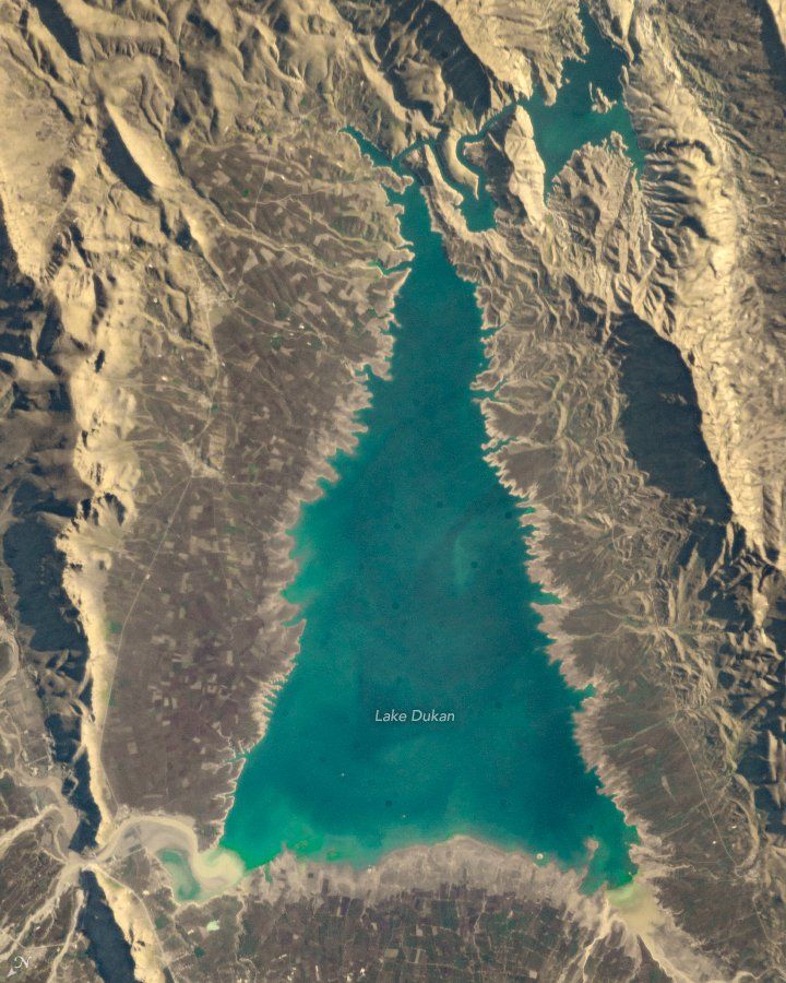 “Árbol” De Navidad Desde El Espacio “Árbol” De Navidad Desde El Espacio