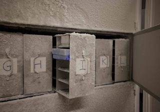 ‘Arca de Noé’ dos micróbios: o biobanco para salvar microrganismos importantes para a saúde do planeta