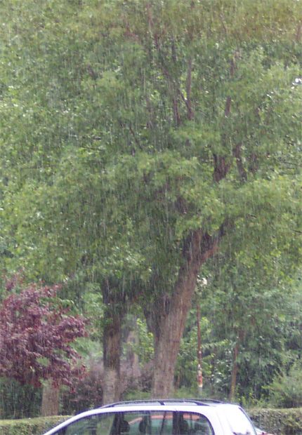 Arcaismos Y Otras Particularidades Del Lenguaje Meteorológico Popular: Parte I Arcaismos Y Otras Particularidades Del Lenguaje Meteorológico Popular: Parte I