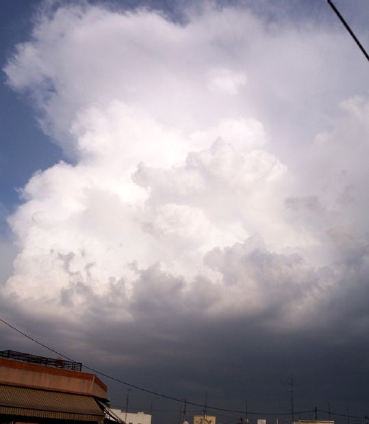 Arcaismos Y Otras Particularidades Del Lenguaje Meteorológico Popular: Parte I Arcaismos Y Otras Particularidades Del Lenguaje Meteorológico Popular: Parte I