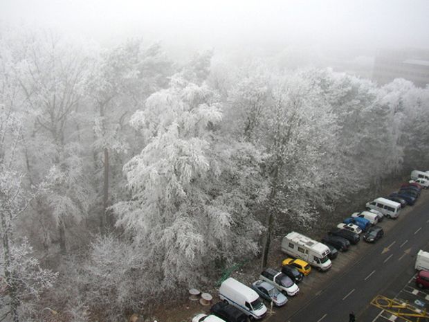 Arcaísmos Y Otras Particularidades Del Lenguaje Meteorológico Popular: Parte Ii Arcaísmos Y Otras Particularidades Del Lenguaje Meteorológico Popular: Parte Ii