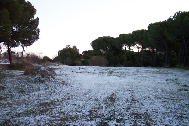 Arcaísmos Y Otras Particularidades Del Lenguaje Meteorológico Popular: Parte Ii Arcaísmos Y Otras Particularidades Del Lenguaje Meteorológico Popular: Parte Ii