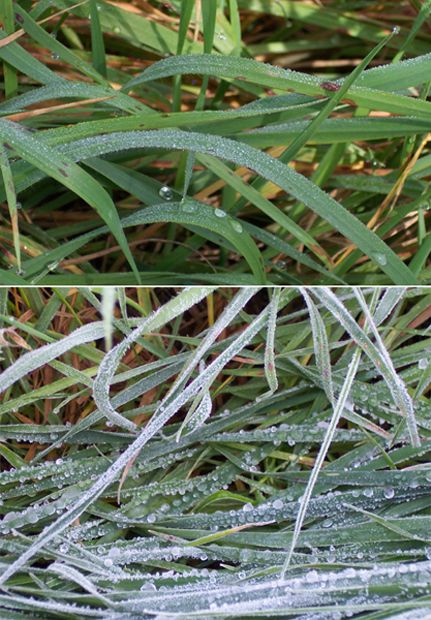 Arcaísmos Y Otras Particularidades Del Lenguaje Meteorológico Popular: Parte Ii Arcaísmos Y Otras Particularidades Del Lenguaje Meteorológico Popular: Parte Ii