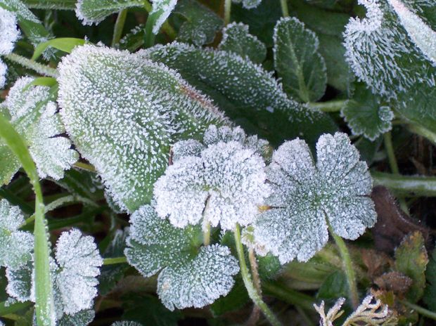 Arcaísmos Y Otras Particularidades Del Lenguaje Meteorológico Popular: Parte Ii Arcaísmos Y Otras Particularidades Del Lenguaje Meteorológico Popular: Parte Ii
