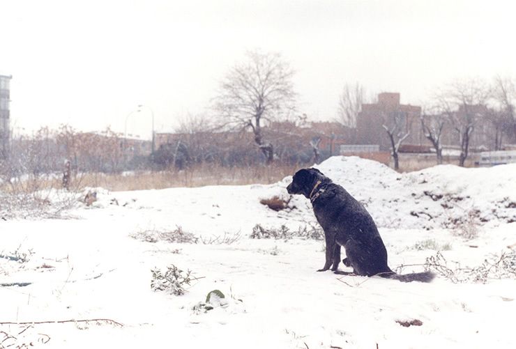Arcaísmos Y Otras Particularidades Del Lenguaje Meteorológico Popular: Parte Iv Arcaísmos Y Otras Particularidades Del Lenguaje Meteorológico Popular: Parte Iv