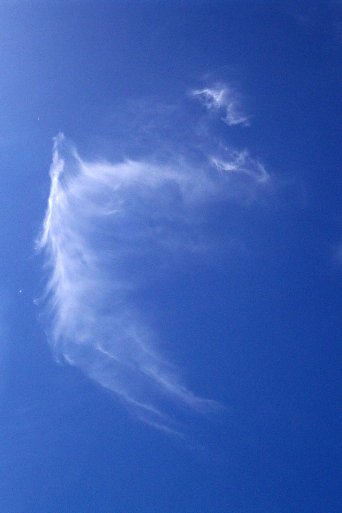 Arcaísmos Y Otras Particularidades Del Lenguaje Meteorológico Popular: Parte Iv Arcaísmos Y Otras Particularidades Del Lenguaje Meteorológico Popular: Parte Iv