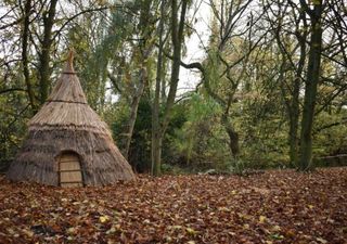 Archaeology: Mesolithic hunter-gatherers from the Star Carr site would have kept an "orderly" home