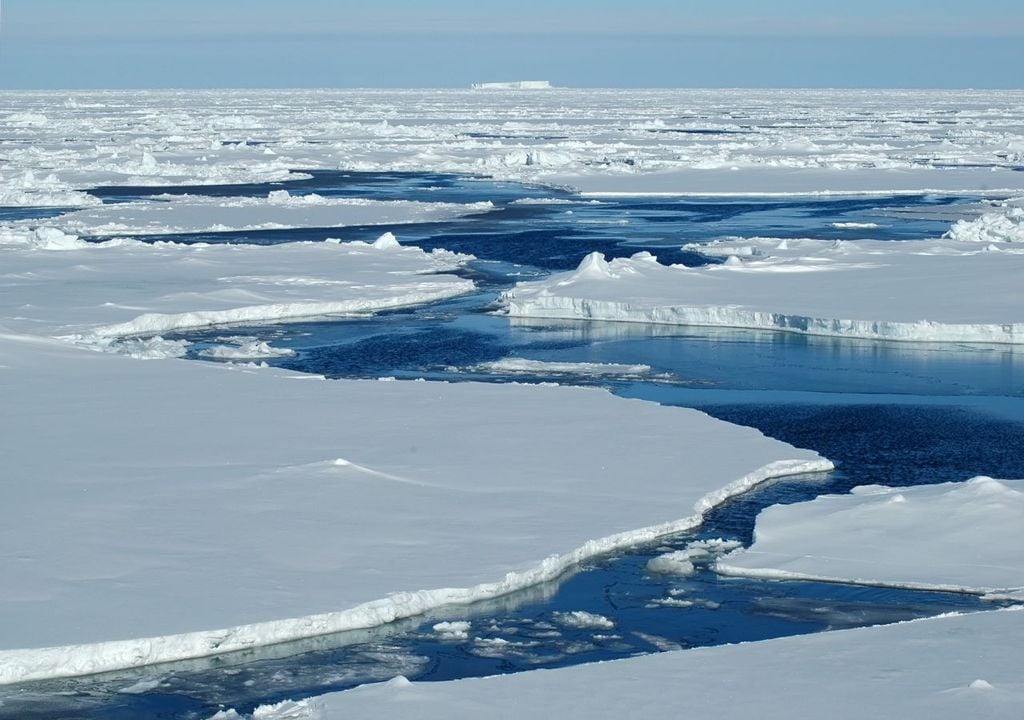 Sea ice - reflects 80% of sunlight back into space