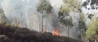 Arde Cantabria en invierno